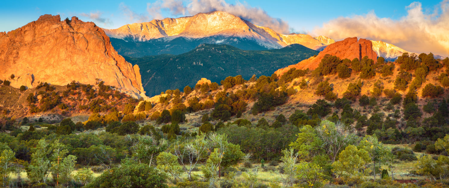 Colorado Springs Bed Bug Exterminator